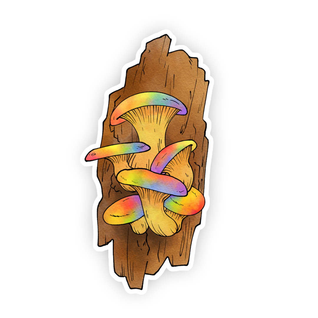 gay mushroom
